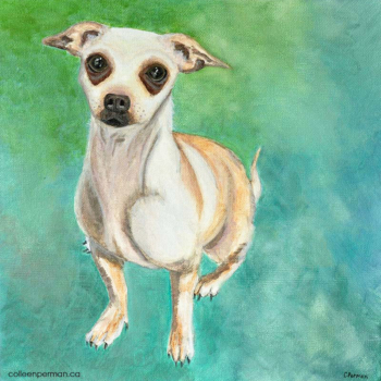 ColleenPerman_LoPanTheAdventurer_2016